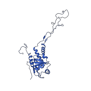 12920_7oi7_F_v1-0
Cryo-EM structure of late human 39S mitoribosome assembly intermediates, state 2