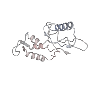 12920_7oi7_J_v1-0
Cryo-EM structure of late human 39S mitoribosome assembly intermediates, state 2