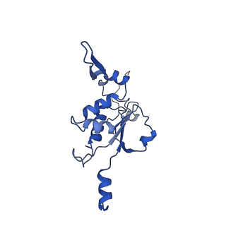 12920_7oi7_K_v1-0
Cryo-EM structure of late human 39S mitoribosome assembly intermediates, state 2