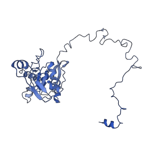 12920_7oi7_M_v1-0
Cryo-EM structure of late human 39S mitoribosome assembly intermediates, state 2