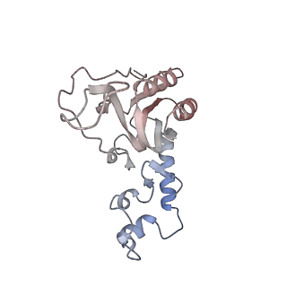12920_7oi7_N_v1-0
Cryo-EM structure of late human 39S mitoribosome assembly intermediates, state 2