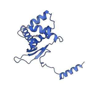 12920_7oi7_O_v1-0
Cryo-EM structure of late human 39S mitoribosome assembly intermediates, state 2