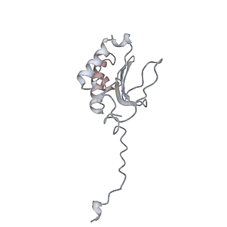 12920_7oi7_P_v1-0
Cryo-EM structure of late human 39S mitoribosome assembly intermediates, state 2