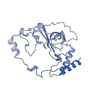 12920_7oi7_Q_v1-0
Cryo-EM structure of late human 39S mitoribosome assembly intermediates, state 2