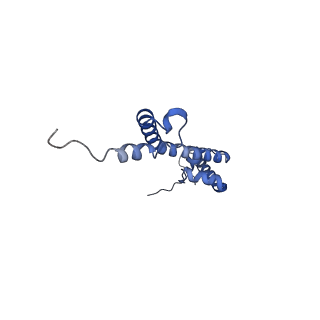 12920_7oi7_R_v1-0
Cryo-EM structure of late human 39S mitoribosome assembly intermediates, state 2