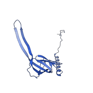 12920_7oi7_S_v1-0
Cryo-EM structure of late human 39S mitoribosome assembly intermediates, state 2