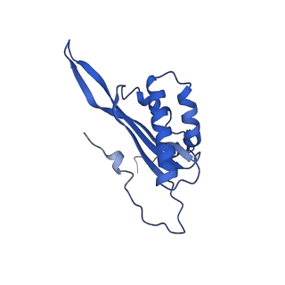 12920_7oi7_T_v1-0
Cryo-EM structure of late human 39S mitoribosome assembly intermediates, state 2