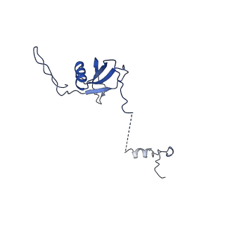 12920_7oi7_U_v1-0
Cryo-EM structure of late human 39S mitoribosome assembly intermediates, state 2