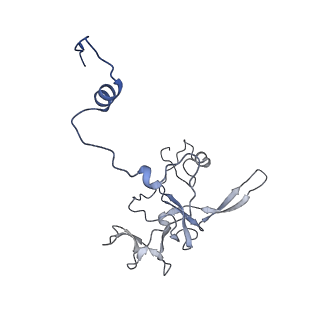 12920_7oi7_V_v1-0
Cryo-EM structure of late human 39S mitoribosome assembly intermediates, state 2