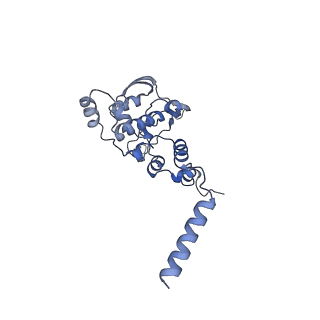 12920_7oi7_X_v1-0
Cryo-EM structure of late human 39S mitoribosome assembly intermediates, state 2