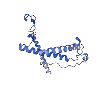 12920_7oi7_Y_v1-0
Cryo-EM structure of late human 39S mitoribosome assembly intermediates, state 2