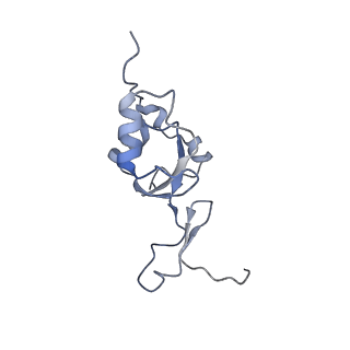 12920_7oi7_Z_v1-0
Cryo-EM structure of late human 39S mitoribosome assembly intermediates, state 2