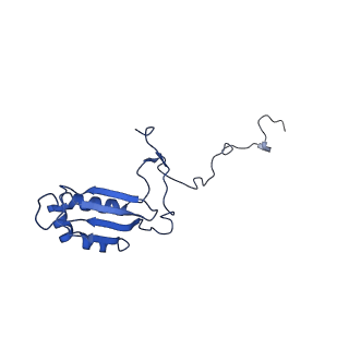 12920_7oi7_b_v1-0
Cryo-EM structure of late human 39S mitoribosome assembly intermediates, state 2