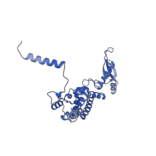 12920_7oi7_c_v1-0
Cryo-EM structure of late human 39S mitoribosome assembly intermediates, state 2