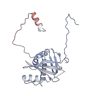 12920_7oi7_d_v1-0
Cryo-EM structure of late human 39S mitoribosome assembly intermediates, state 2