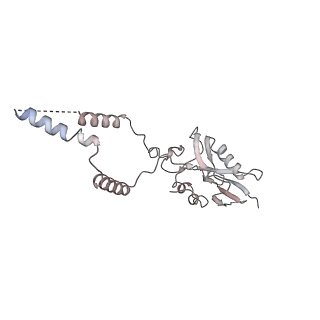 12920_7oi7_e_v1-0
Cryo-EM structure of late human 39S mitoribosome assembly intermediates, state 2