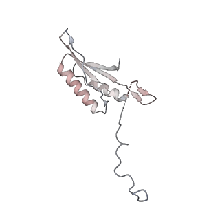 12920_7oi7_f_v1-0
Cryo-EM structure of late human 39S mitoribosome assembly intermediates, state 2