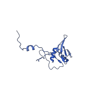 12920_7oi7_g_v1-0
Cryo-EM structure of late human 39S mitoribosome assembly intermediates, state 2