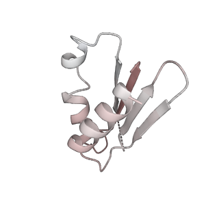 12920_7oi7_k_v1-0
Cryo-EM structure of late human 39S mitoribosome assembly intermediates, state 2