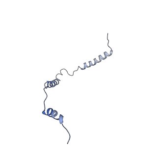 12920_7oi7_o_v1-0
Cryo-EM structure of late human 39S mitoribosome assembly intermediates, state 2