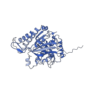 12920_7oi7_s_v1-0
Cryo-EM structure of late human 39S mitoribosome assembly intermediates, state 2