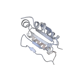 12920_7oi7_u_v1-0
Cryo-EM structure of late human 39S mitoribosome assembly intermediates, state 2