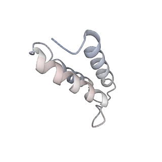 12920_7oi7_v_v1-0
Cryo-EM structure of late human 39S mitoribosome assembly intermediates, state 2