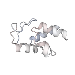 12920_7oi7_w_v1-0
Cryo-EM structure of late human 39S mitoribosome assembly intermediates, state 2