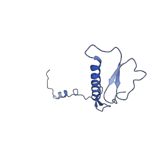 12921_7oi8_0_v1-1
Cryo-EM structure of late human 39S mitoribosome assembly intermediates, state 3A