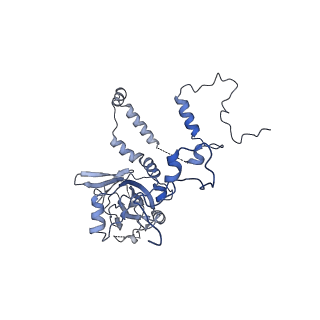 12921_7oi8_6_v1-1
Cryo-EM structure of late human 39S mitoribosome assembly intermediates, state 3A
