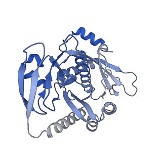 12921_7oi8_7_v1-1
Cryo-EM structure of late human 39S mitoribosome assembly intermediates, state 3A