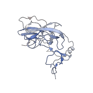 12921_7oi8_D_v1-1
Cryo-EM structure of late human 39S mitoribosome assembly intermediates, state 3A