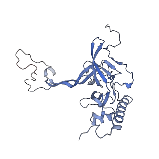 12921_7oi8_E_v1-1
Cryo-EM structure of late human 39S mitoribosome assembly intermediates, state 3A
