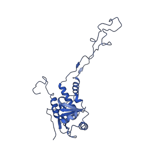 12921_7oi8_F_v1-1
Cryo-EM structure of late human 39S mitoribosome assembly intermediates, state 3A