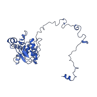 12921_7oi8_M_v1-1
Cryo-EM structure of late human 39S mitoribosome assembly intermediates, state 3A