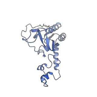 12921_7oi8_N_v1-1
Cryo-EM structure of late human 39S mitoribosome assembly intermediates, state 3A