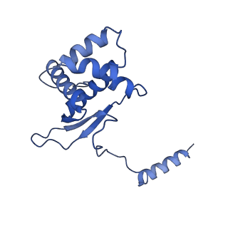 12921_7oi8_O_v1-1
Cryo-EM structure of late human 39S mitoribosome assembly intermediates, state 3A