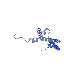 12921_7oi8_R_v1-1
Cryo-EM structure of late human 39S mitoribosome assembly intermediates, state 3A