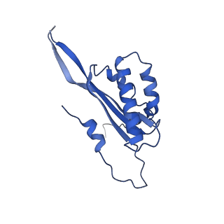 12921_7oi8_T_v1-1
Cryo-EM structure of late human 39S mitoribosome assembly intermediates, state 3A