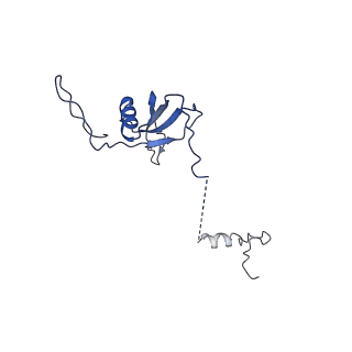 12921_7oi8_U_v1-1
Cryo-EM structure of late human 39S mitoribosome assembly intermediates, state 3A