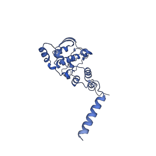 12921_7oi8_X_v1-1
Cryo-EM structure of late human 39S mitoribosome assembly intermediates, state 3A