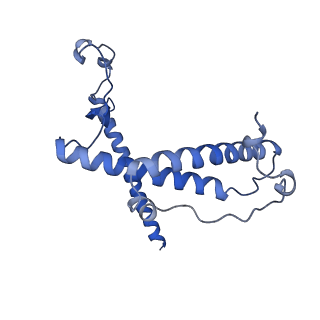 12921_7oi8_Y_v1-1
Cryo-EM structure of late human 39S mitoribosome assembly intermediates, state 3A