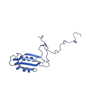 12921_7oi8_b_v1-1
Cryo-EM structure of late human 39S mitoribosome assembly intermediates, state 3A