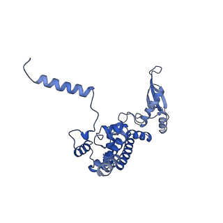 12921_7oi8_c_v1-1
Cryo-EM structure of late human 39S mitoribosome assembly intermediates, state 3A