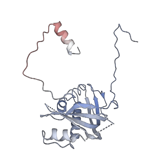 12921_7oi8_d_v1-1
Cryo-EM structure of late human 39S mitoribosome assembly intermediates, state 3A