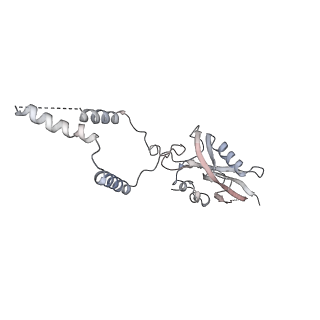 12921_7oi8_e_v1-1
Cryo-EM structure of late human 39S mitoribosome assembly intermediates, state 3A