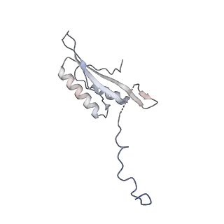 12921_7oi8_f_v1-1
Cryo-EM structure of late human 39S mitoribosome assembly intermediates, state 3A