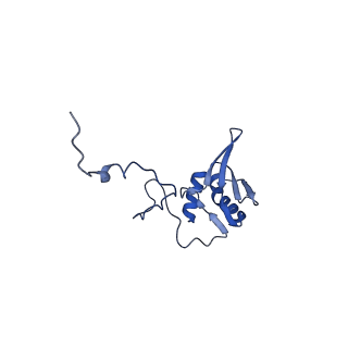 12921_7oi8_g_v1-1
Cryo-EM structure of late human 39S mitoribosome assembly intermediates, state 3A