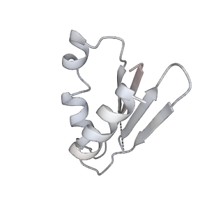 12921_7oi8_k_v1-1
Cryo-EM structure of late human 39S mitoribosome assembly intermediates, state 3A