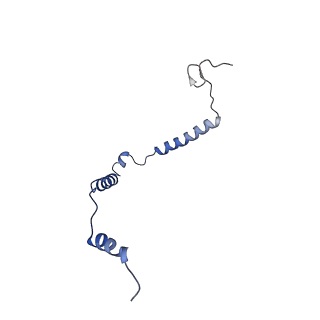 12921_7oi8_o_v1-1
Cryo-EM structure of late human 39S mitoribosome assembly intermediates, state 3A